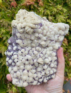 Rare Fluorite and Baryte Cluster Specimen from Qinglong Mine