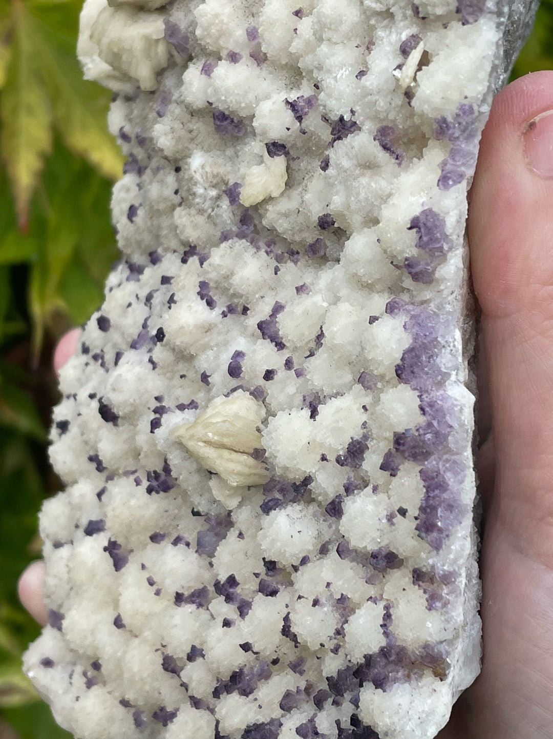 Rare Fluorite and Baryte Cluster Specimen from Qinglong Mine
