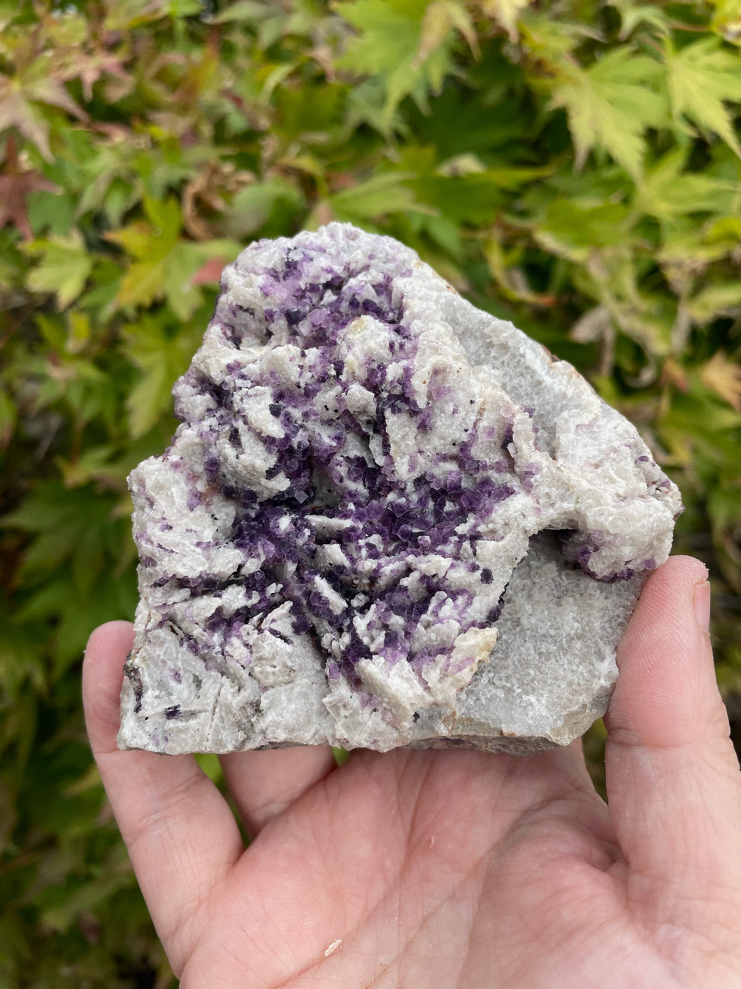 Fluorite and Quartz Specimen