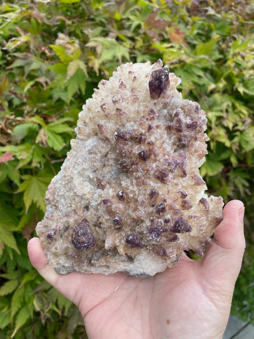 Yttrofluorite on Calcite with Gypsum