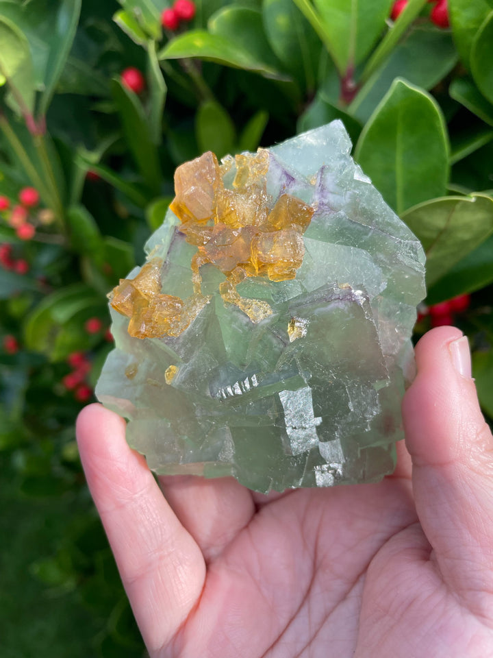 Green Fluorite with Yellow Barite Specimens