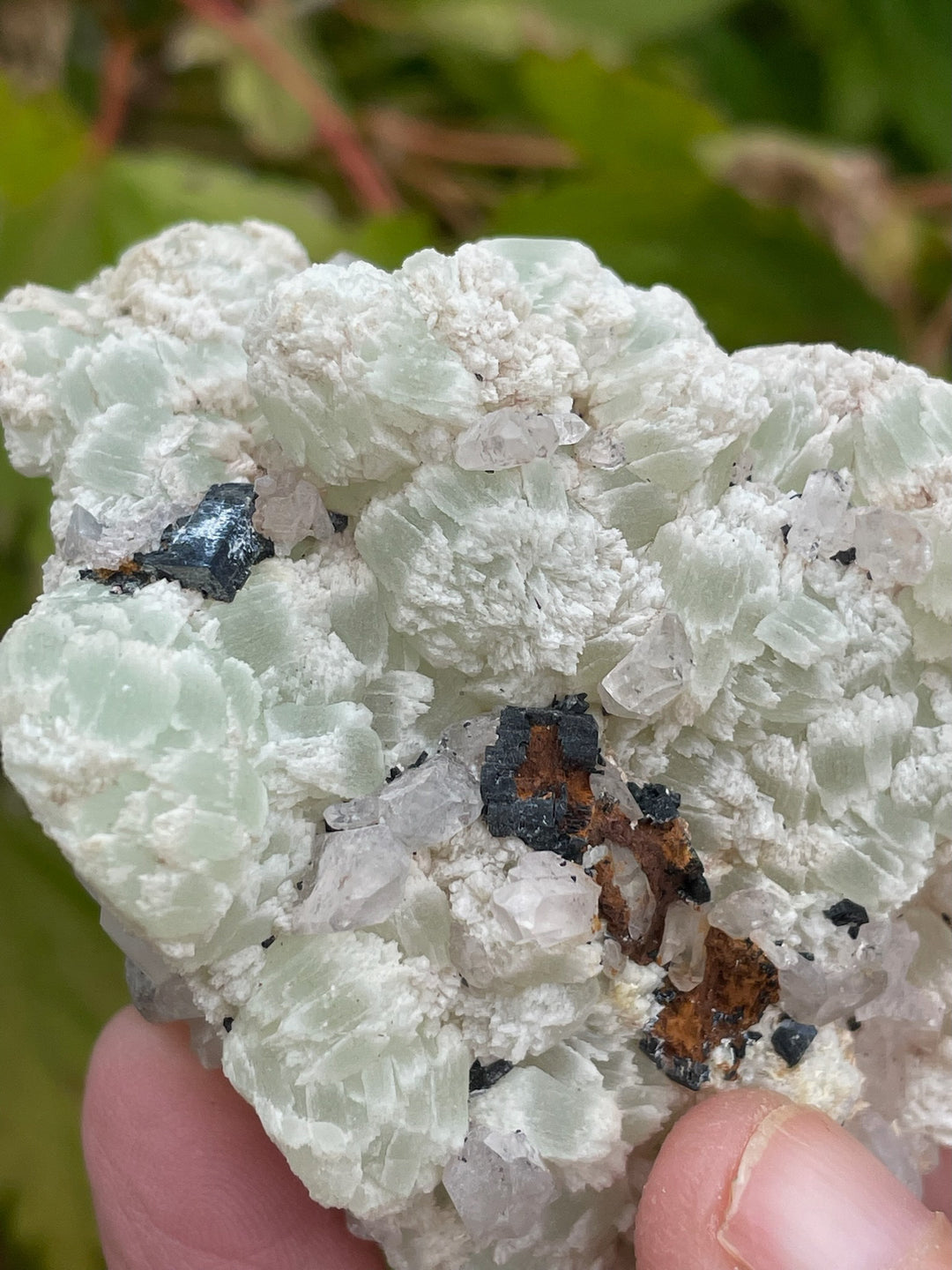 Prehnite and Quartz Specimens