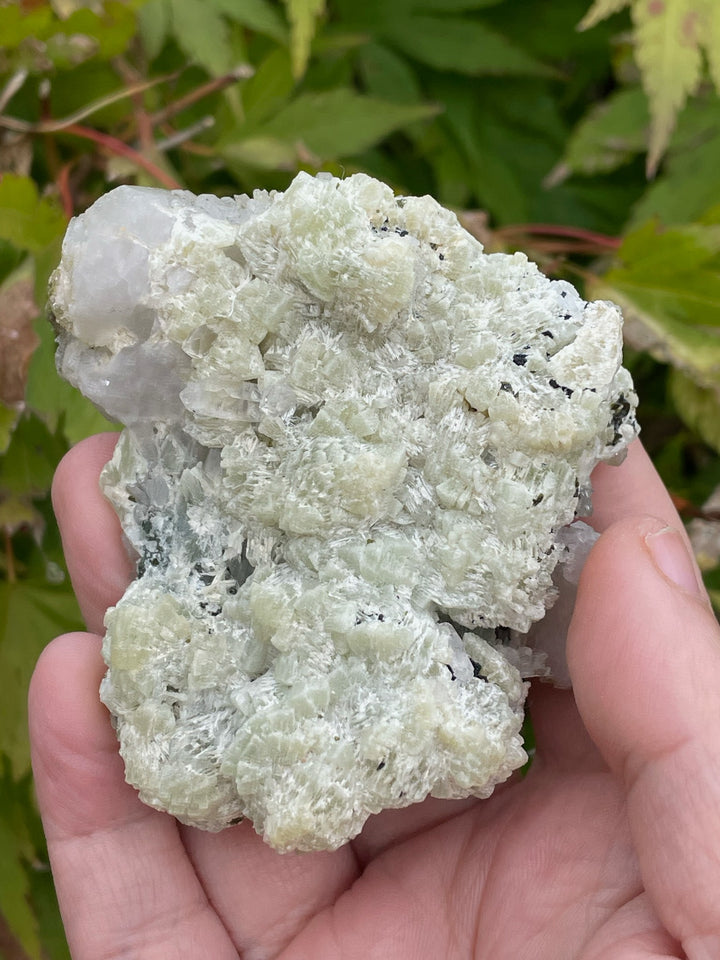 Prehnite, Epidote and Quartz Specimens