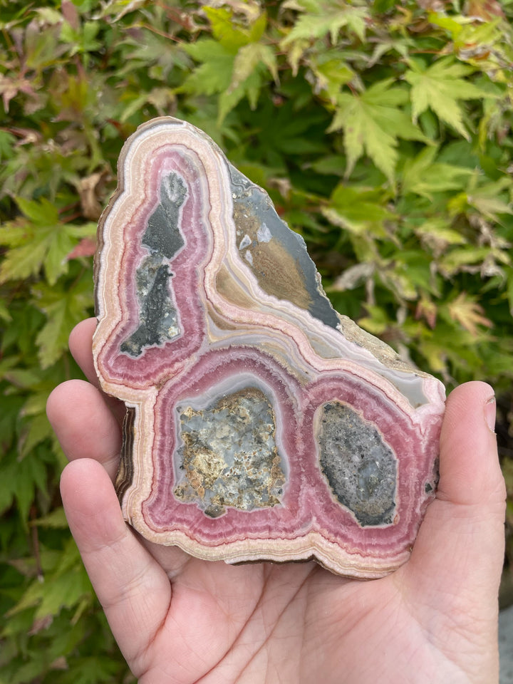 Large Rhodochrosite Slice Specimens