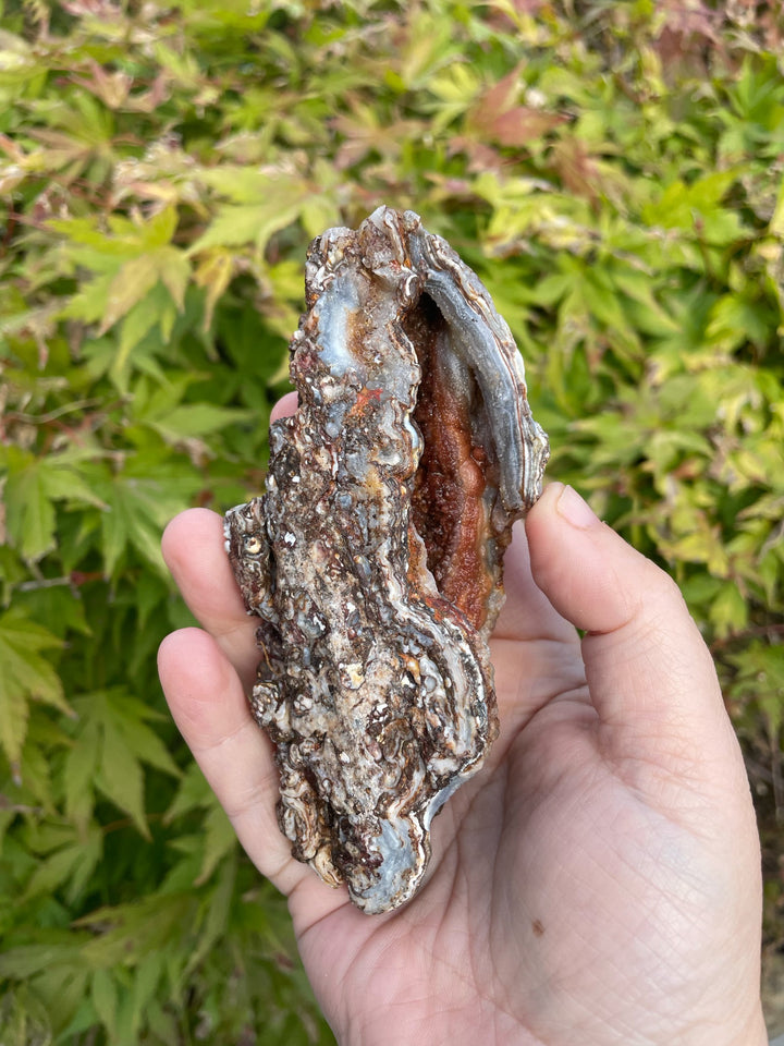 Interesting Chalcedony, Quartz and Agate Specimens