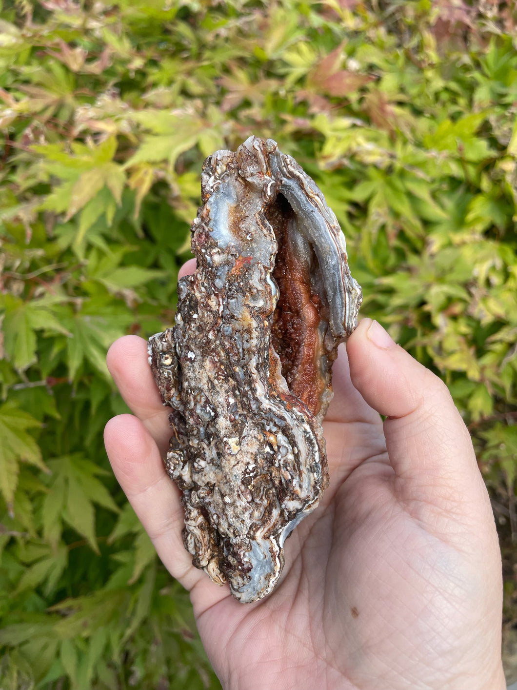 Interesting Chalcedony, Quartz and Agate Specimens