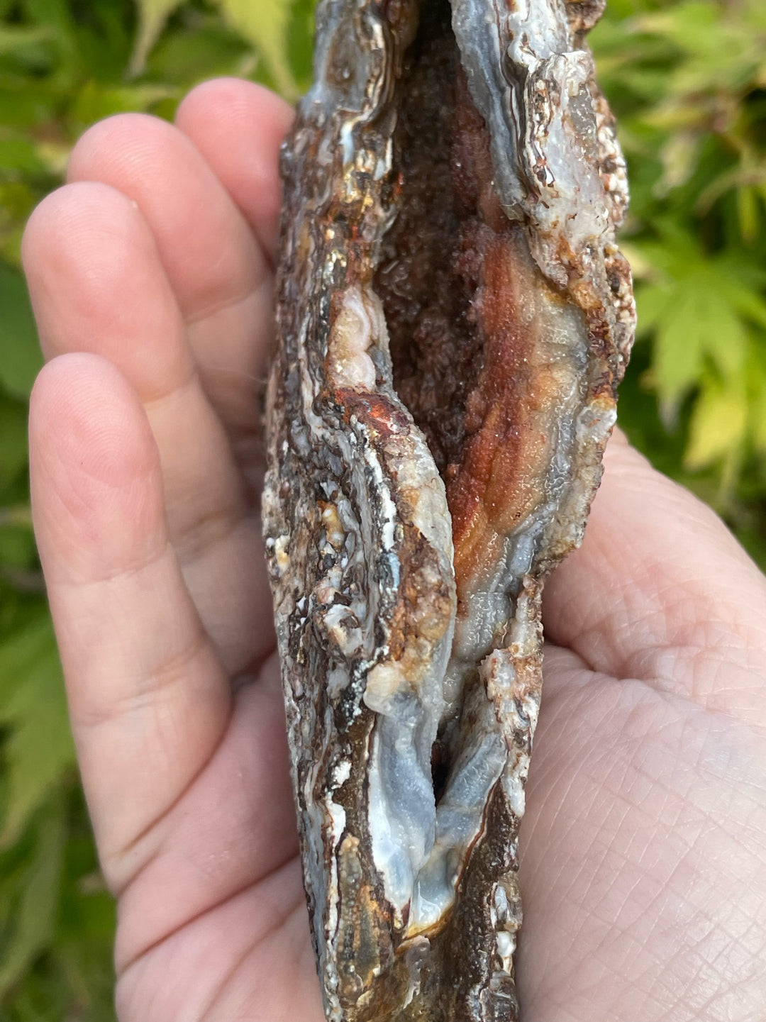 Interesting Chalcedony, Quartz and Agate Specimens