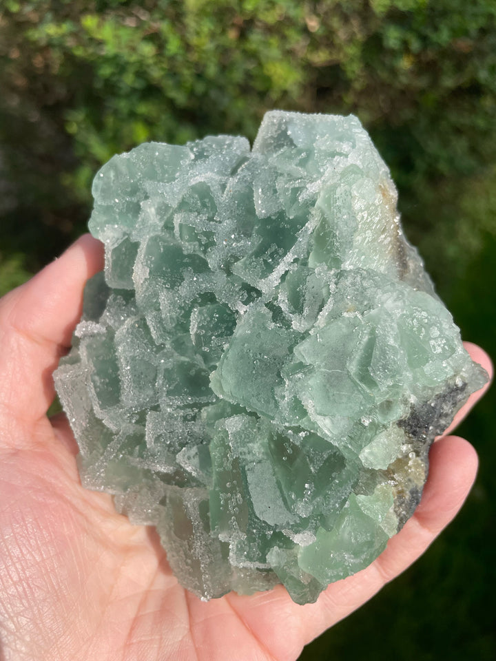 Large Sugar Cube Green Fluorite Specimens