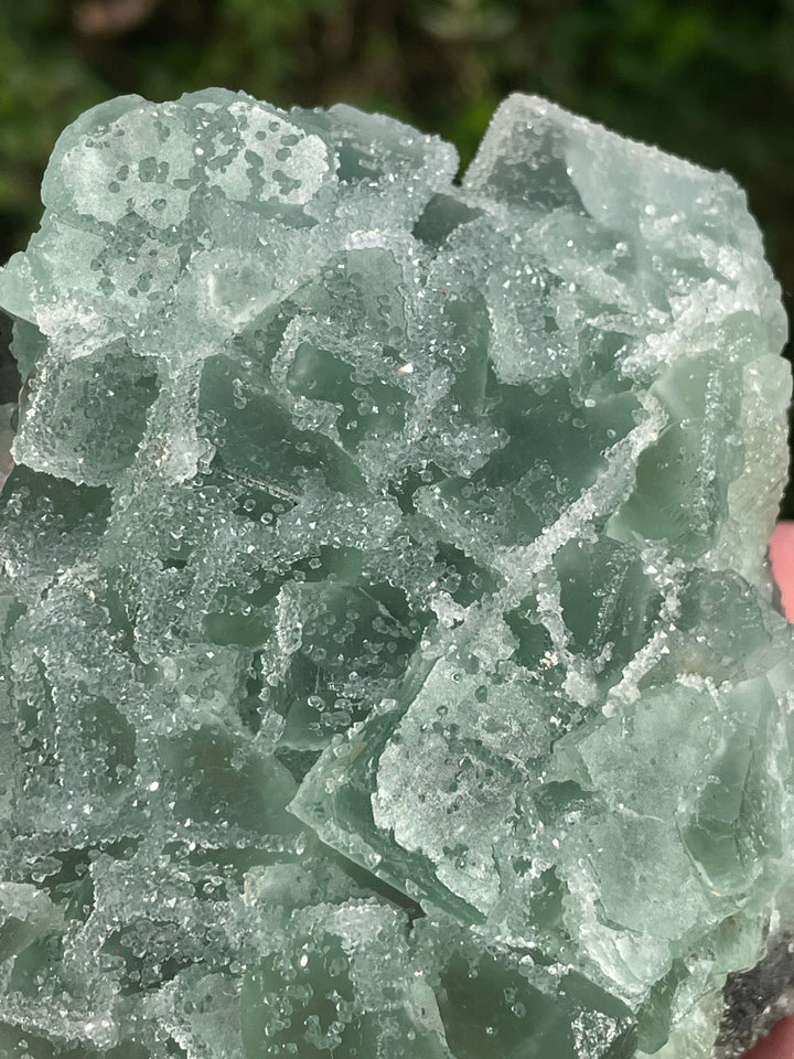 Large Sugar Cube Green Fluorite Specimens