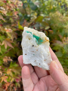 Pseudo Malachite on Quartz Crystal Specimen