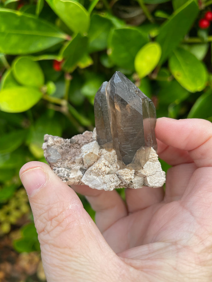 Smoky Quartz Cluster Crystal Specimen