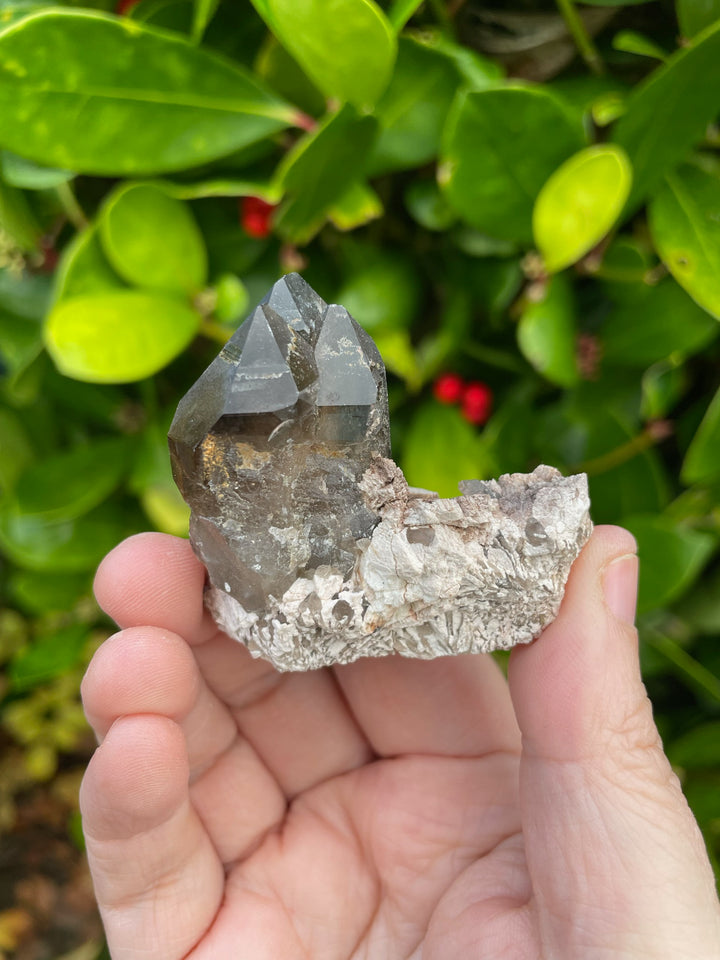 Smoky Quartz Cluster Crystal Specimen