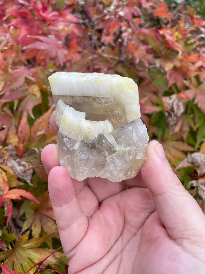 Unusual Barite and Calcite Cluster Crystal Specimen