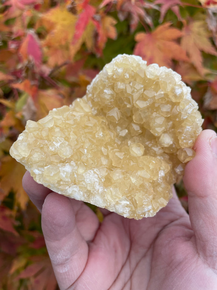 Honey Calcite Cluster Crystal Specimen