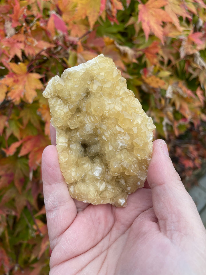 Honey Calcite Cluster Crystal Specimen