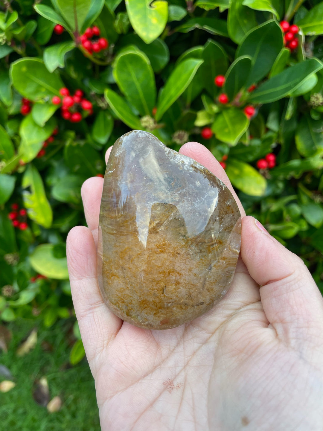 Half Polished Aquarium Lens Quartz Crystal Specimen