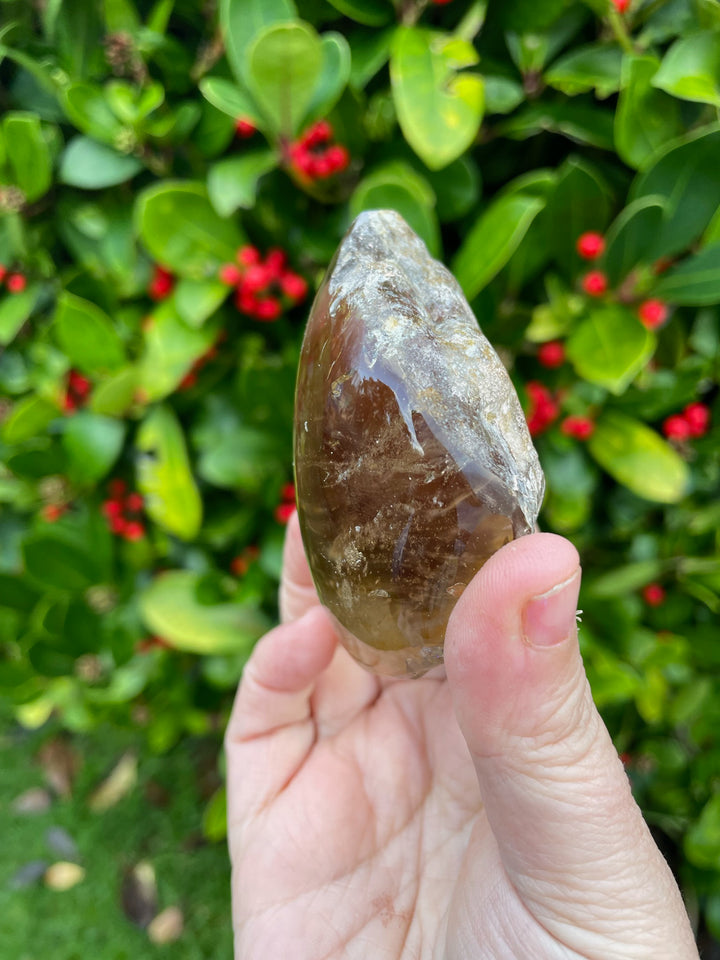 Half Polished Aquarium Lens Quartz Crystal Specimen