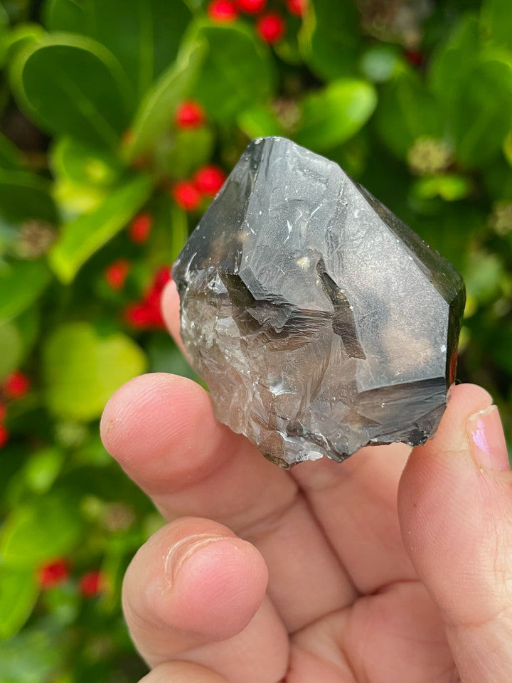 Smoky Phantom Quartz Elestial Crystal Specimen
