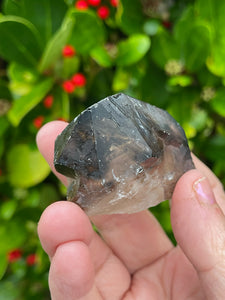 Smoky Phantom Quartz Elestial Crystal Specimen