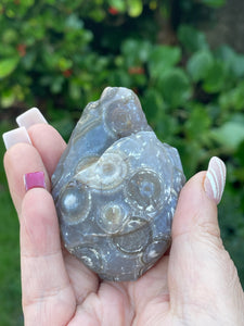 Large Gobi Desert Agate Crystal Specimen