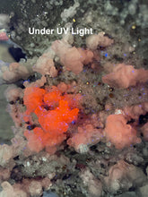 Load image into Gallery viewer, Large Freestanding Calcite and Pyrite Specimen
