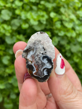 Load image into Gallery viewer, Natural Agate Geode with Quartz Specimen

