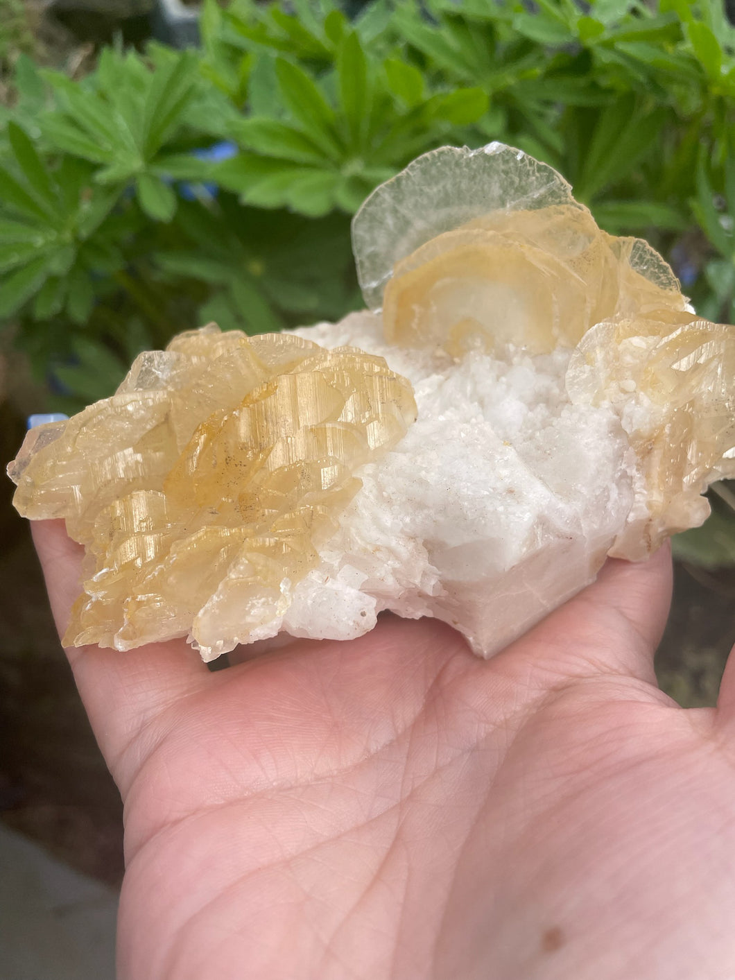 Large Yellow Leaf Calcite Specimen