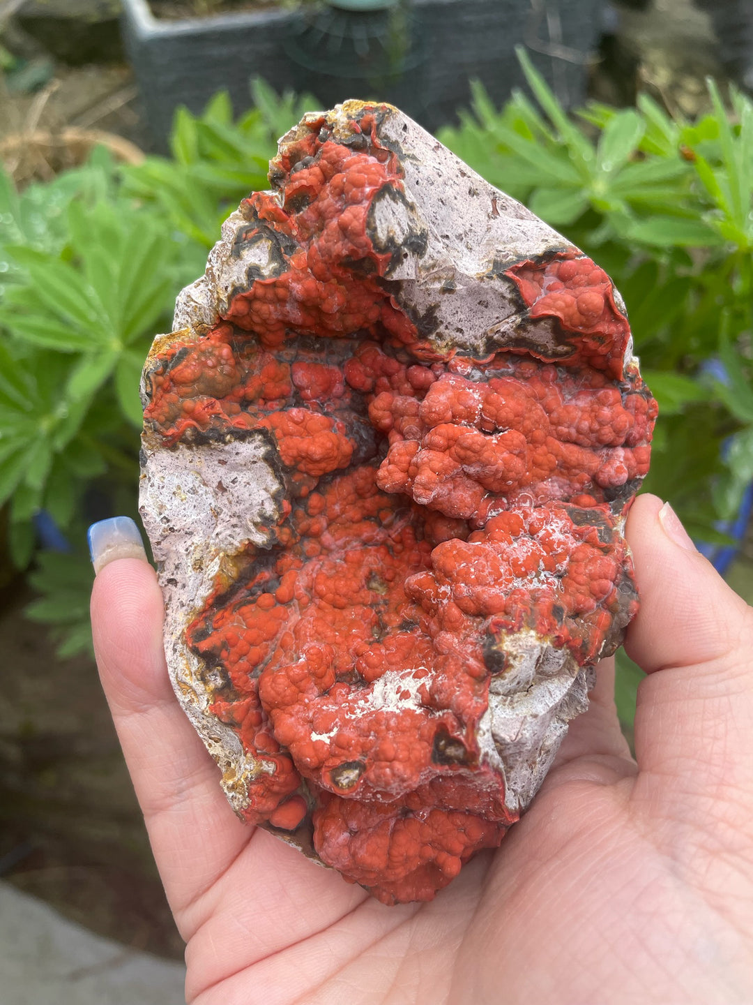 Large Vibrant Red Agate Specimen
