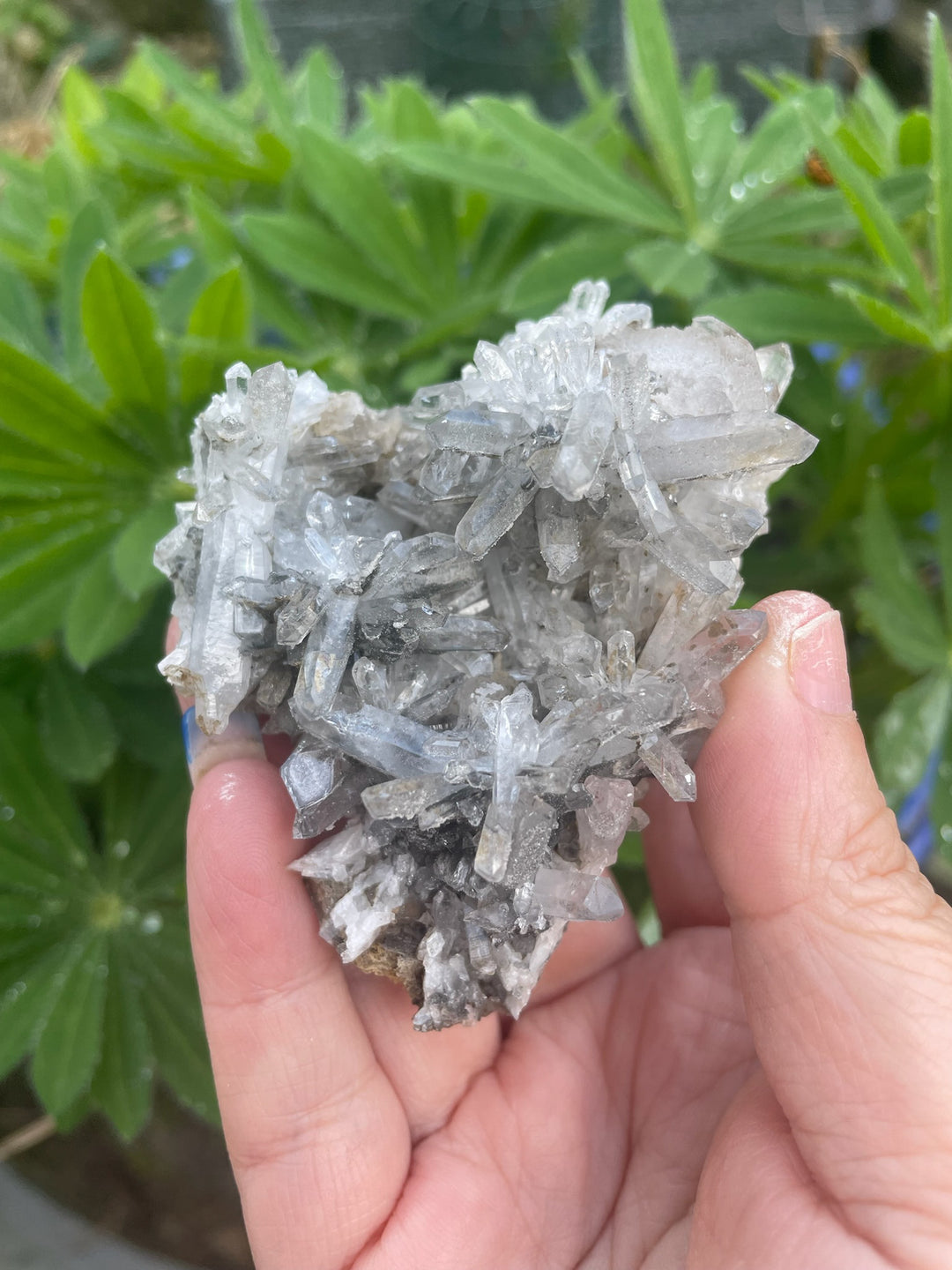 Quartz, Calcite and Chocolate Calcite Specimen