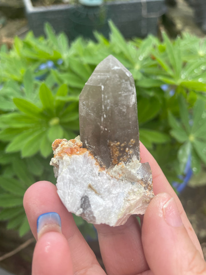 Smoky Quartz and Garnet Specimen