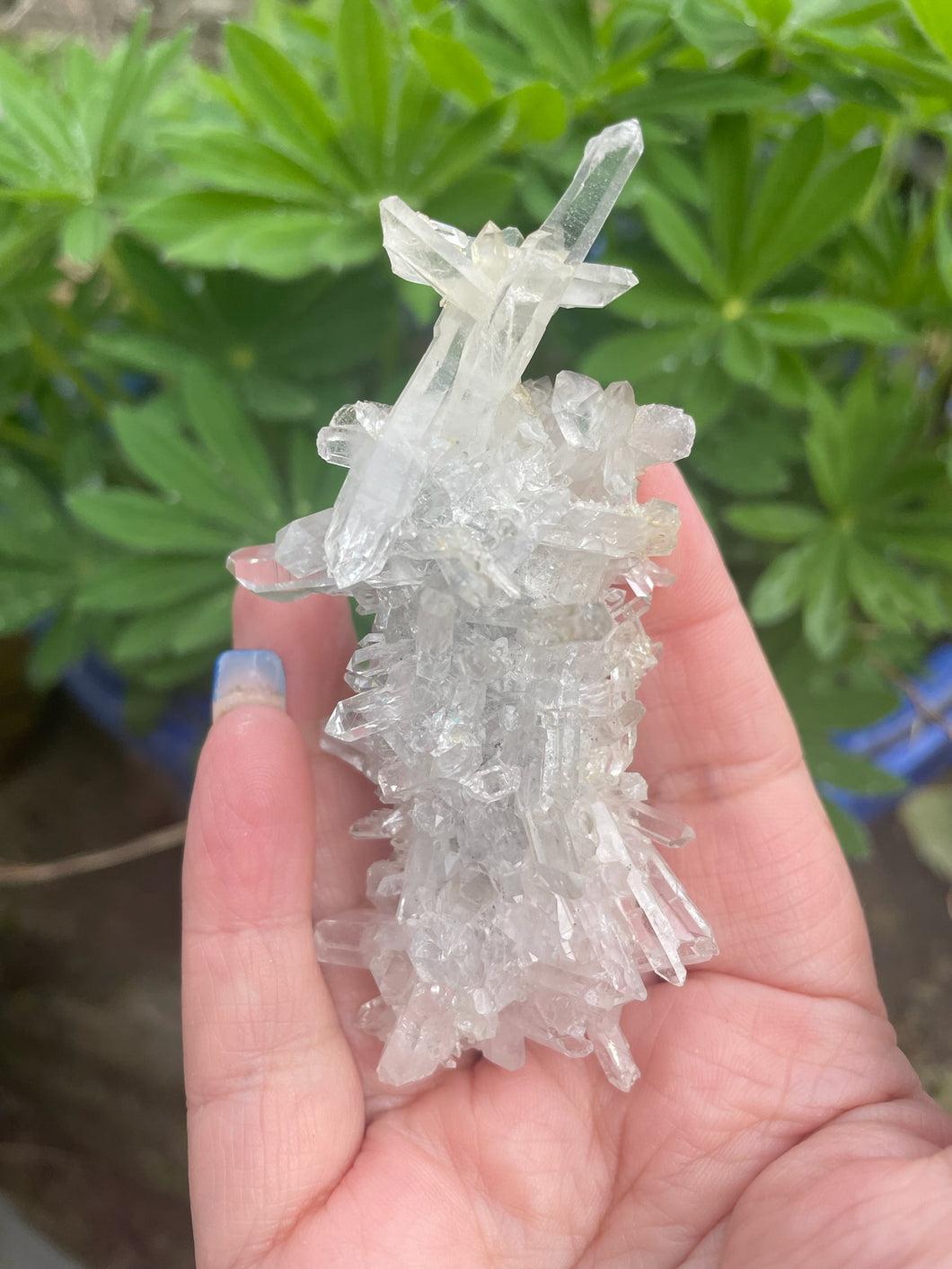 Needle Quartz Cluster Specimen