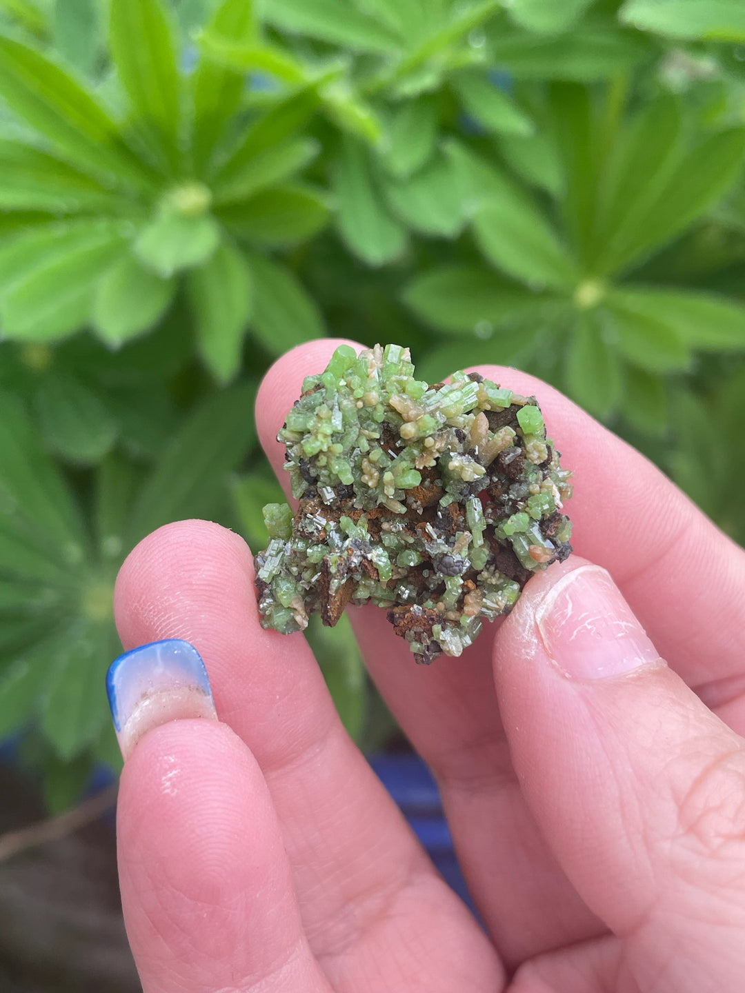 Pyromorphite Specimen