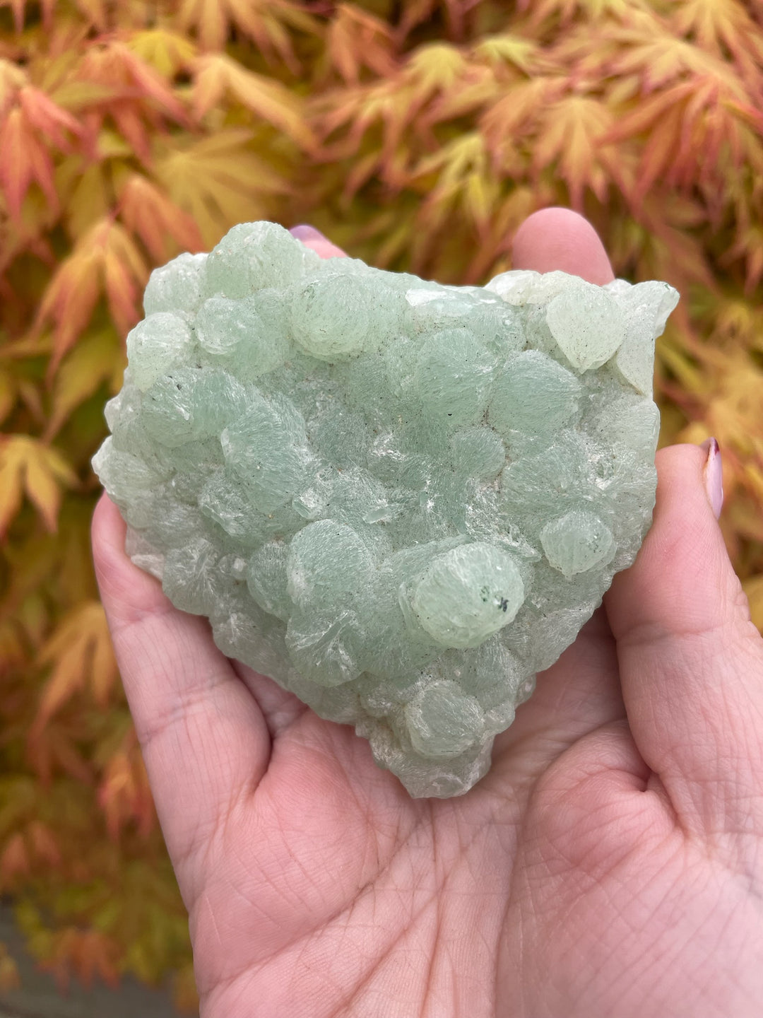 Prehnite Cluster Specimen