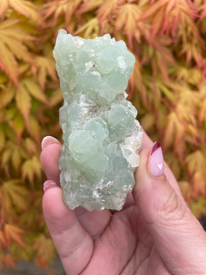 Prehnite Cluster Specimen