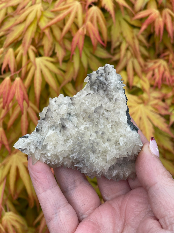 White Dogtooth Calcite with Black Phantoms Specimen