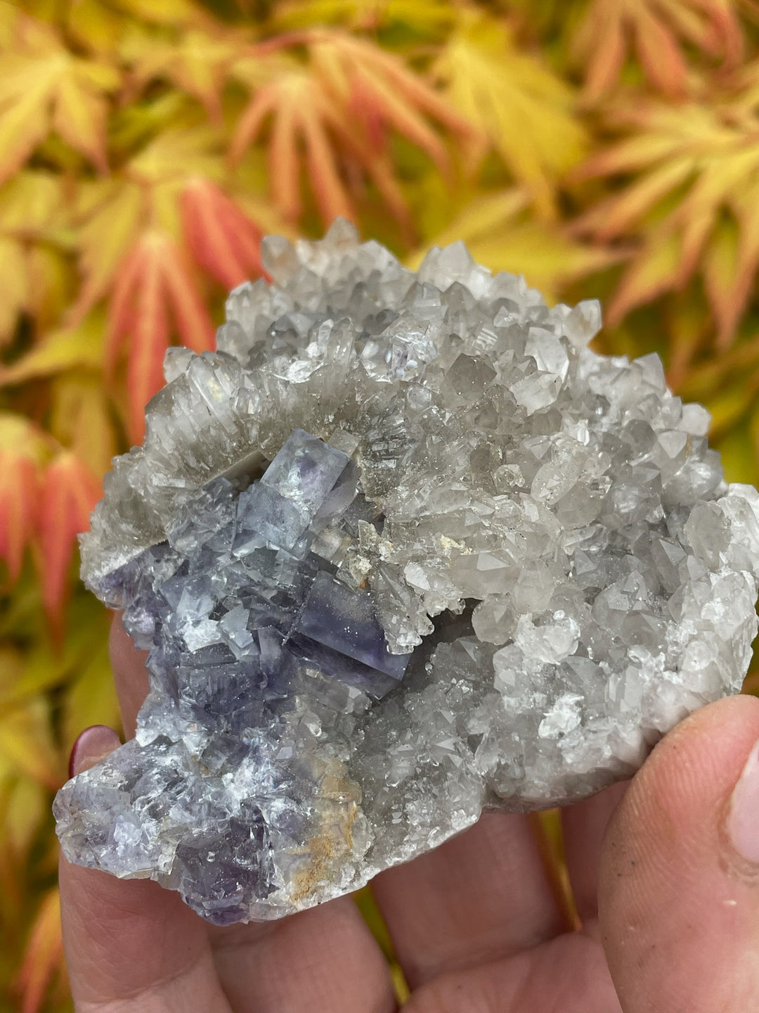 Porcelain Fluorite with Quartz Specimen