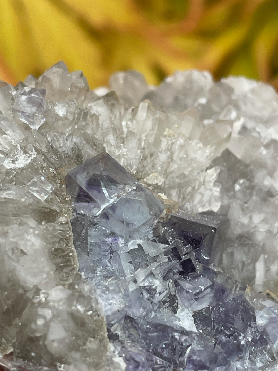 Porcelain Fluorite with Quartz Specimen