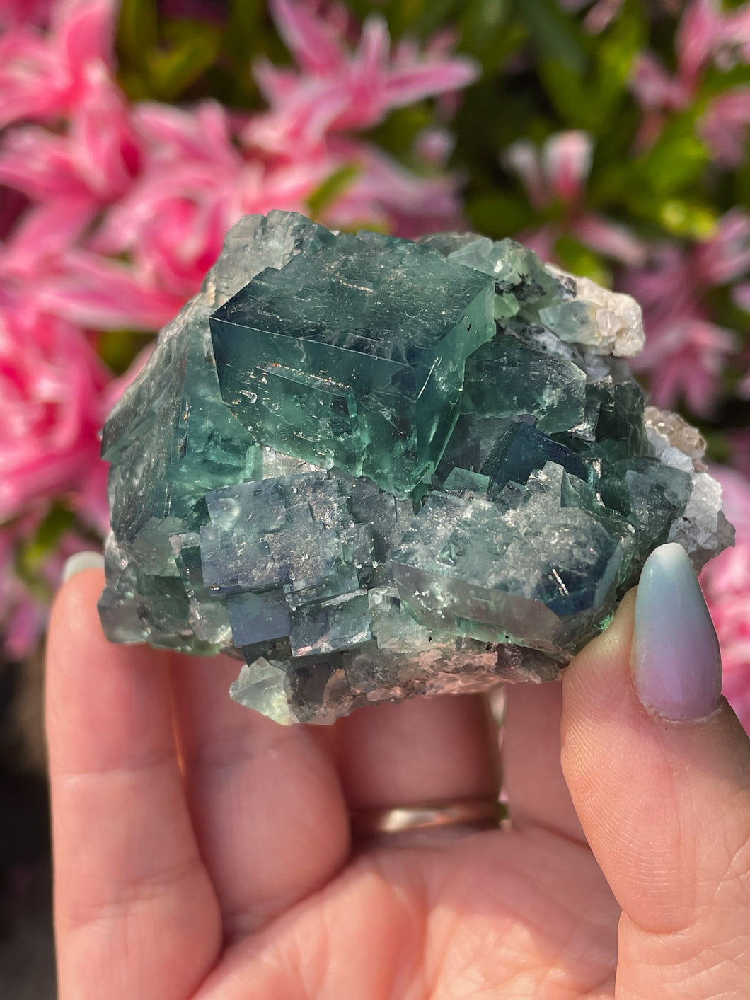 Fluorite Specimen. 50 year pocket, UK.