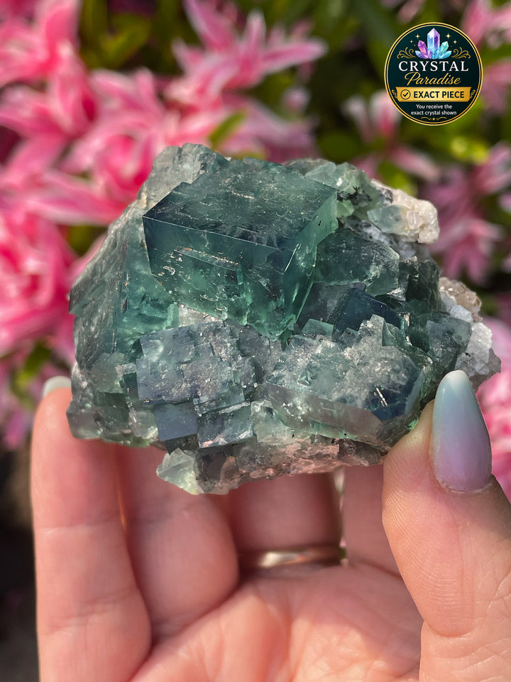 Fluorite Specimen. 50 year pocket, UK.