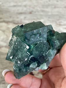 Fluorite Specimen. 50 year pocket, UK.
