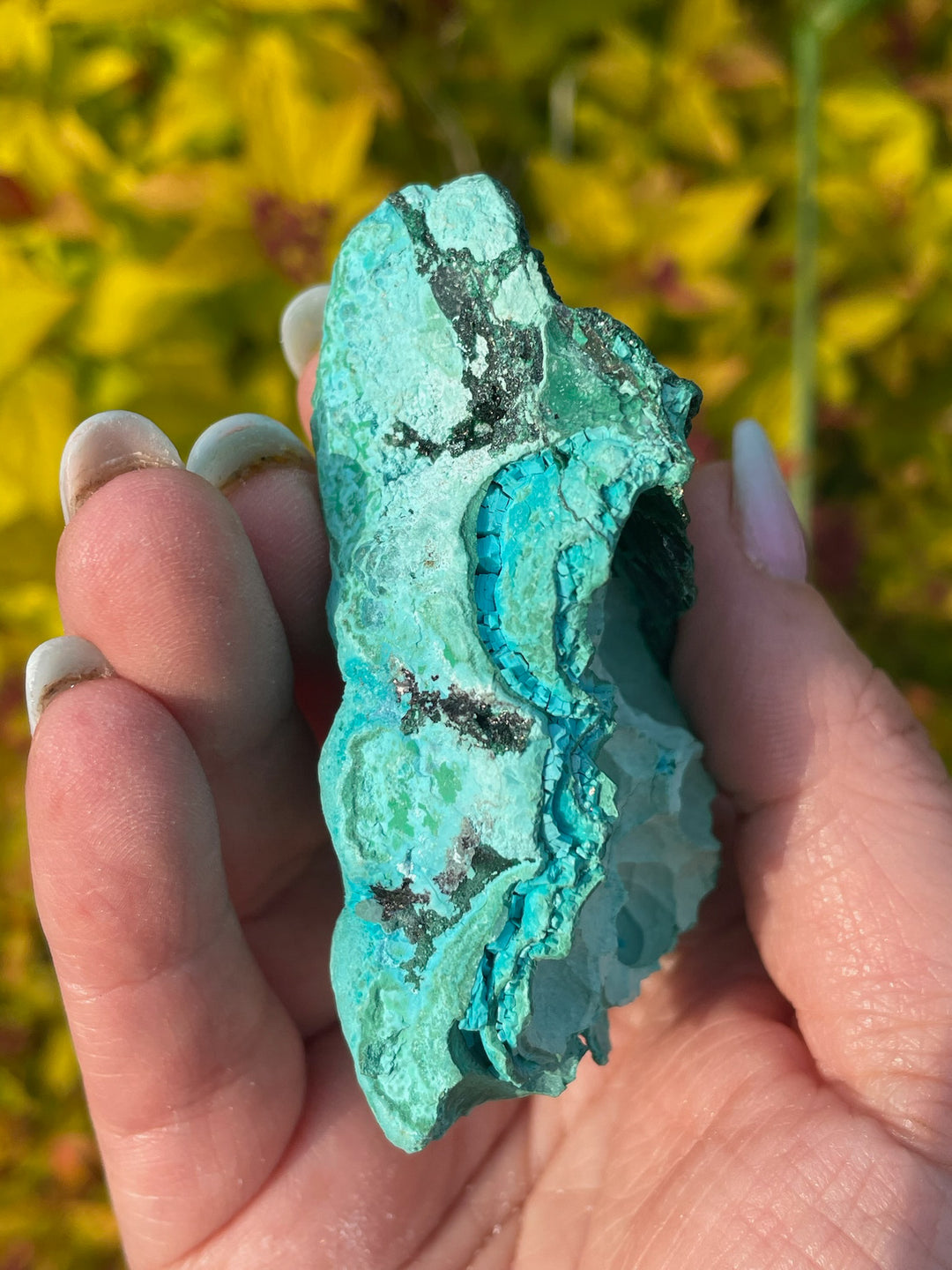 Chrysocolla and Malachite Specimen from Zaire