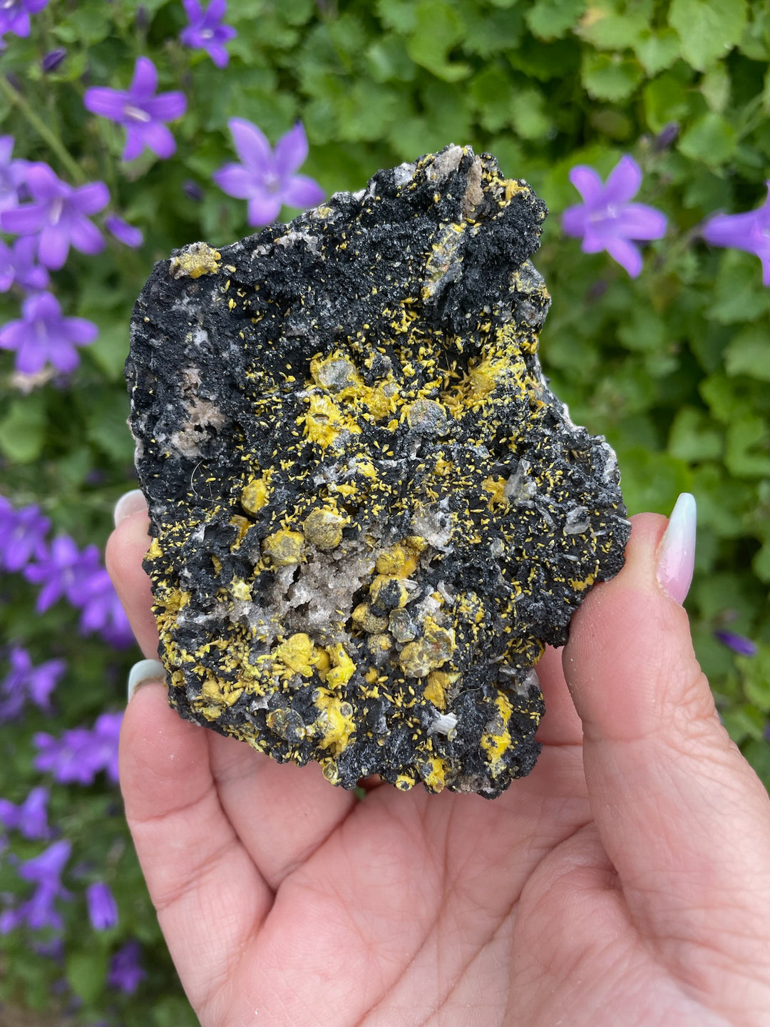 Campylite Specimen from Cumbria UK