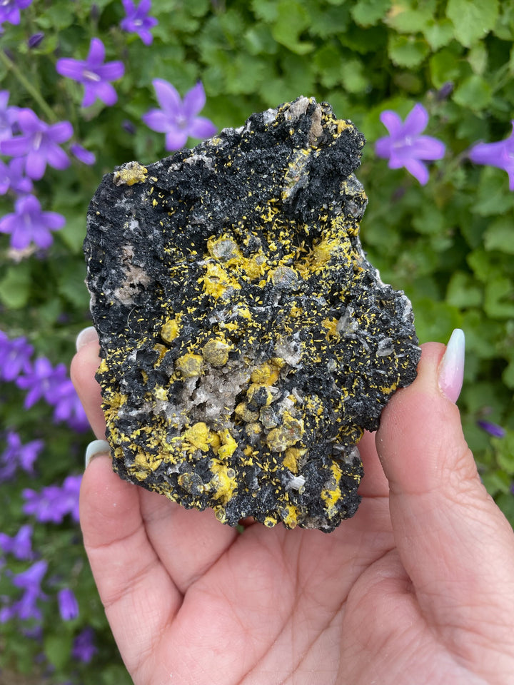 Campylite Specimen from Cumbria UK