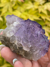 Load image into Gallery viewer, Stepped Purple Fluorite Specimen from Mexico
