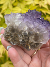 Load image into Gallery viewer, Stepped Purple Fluorite Specimen from Mexico
