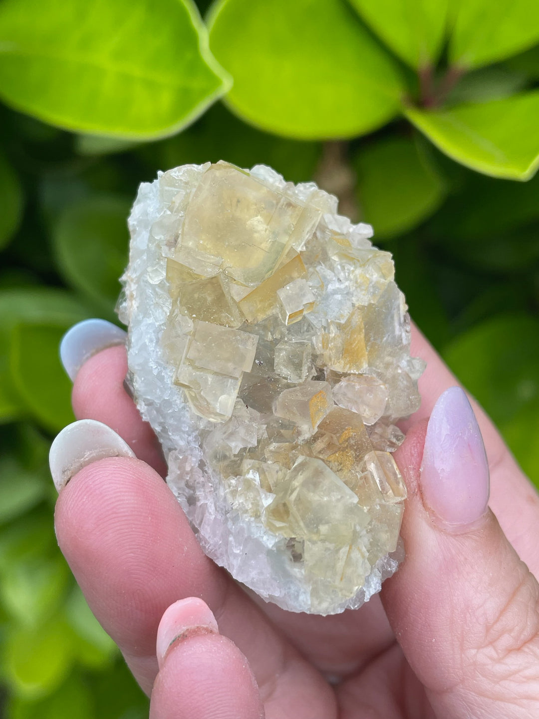 Yellow Cubic Fluorite from Beijing Specimen