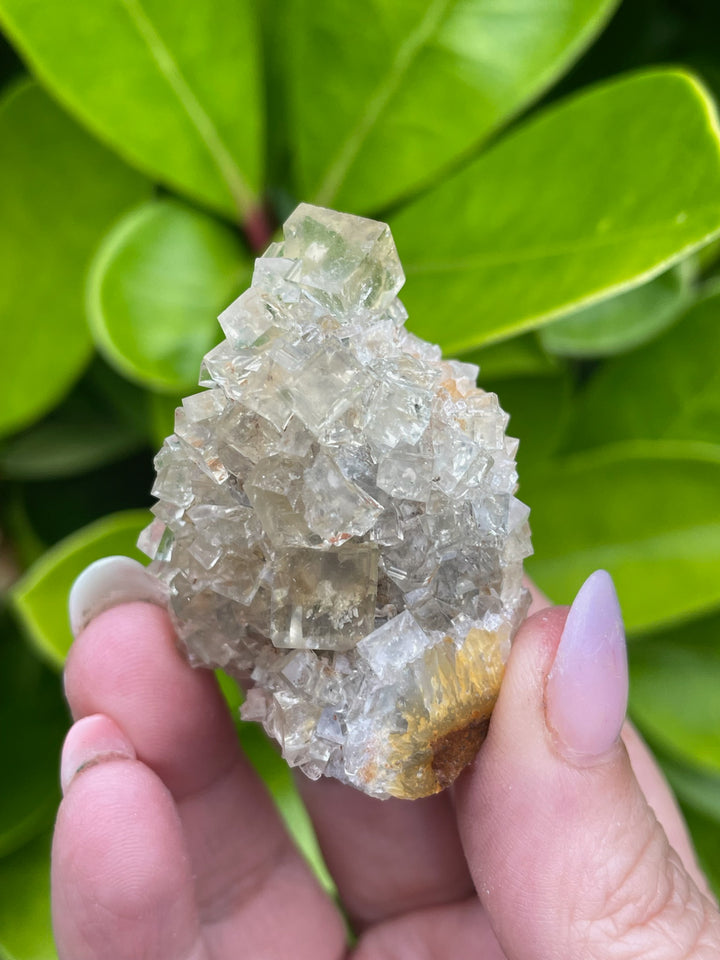 Yellow Cubic Fluorite from Beijing Specimen
