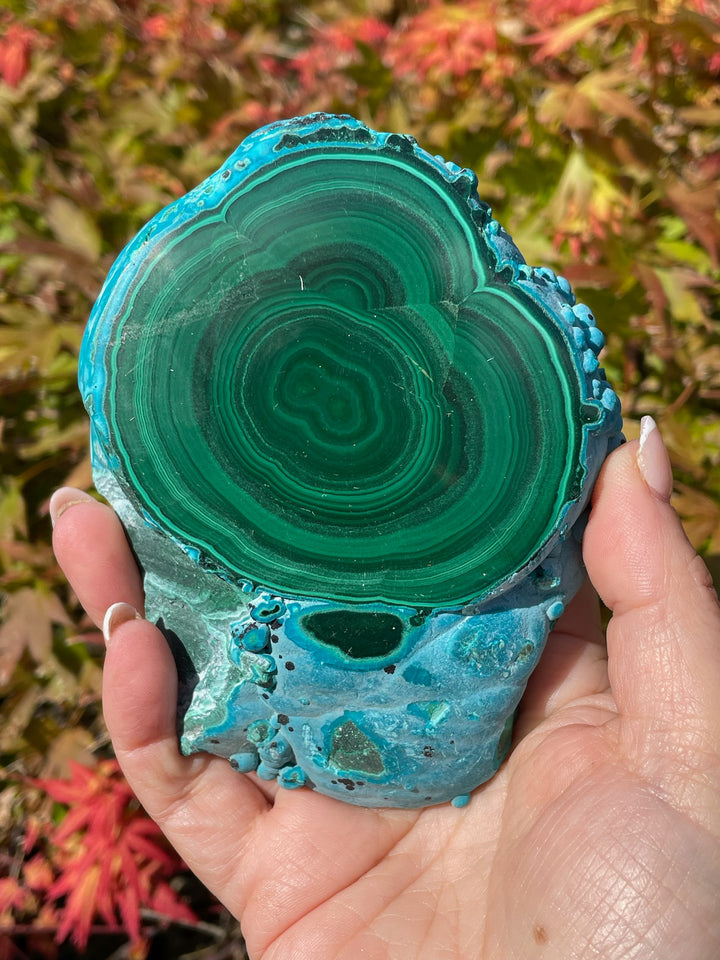 Malachite and Chrysocolla Stalactite Specimen