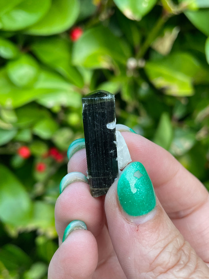 Terminated Cap Tourmaline Specimen
