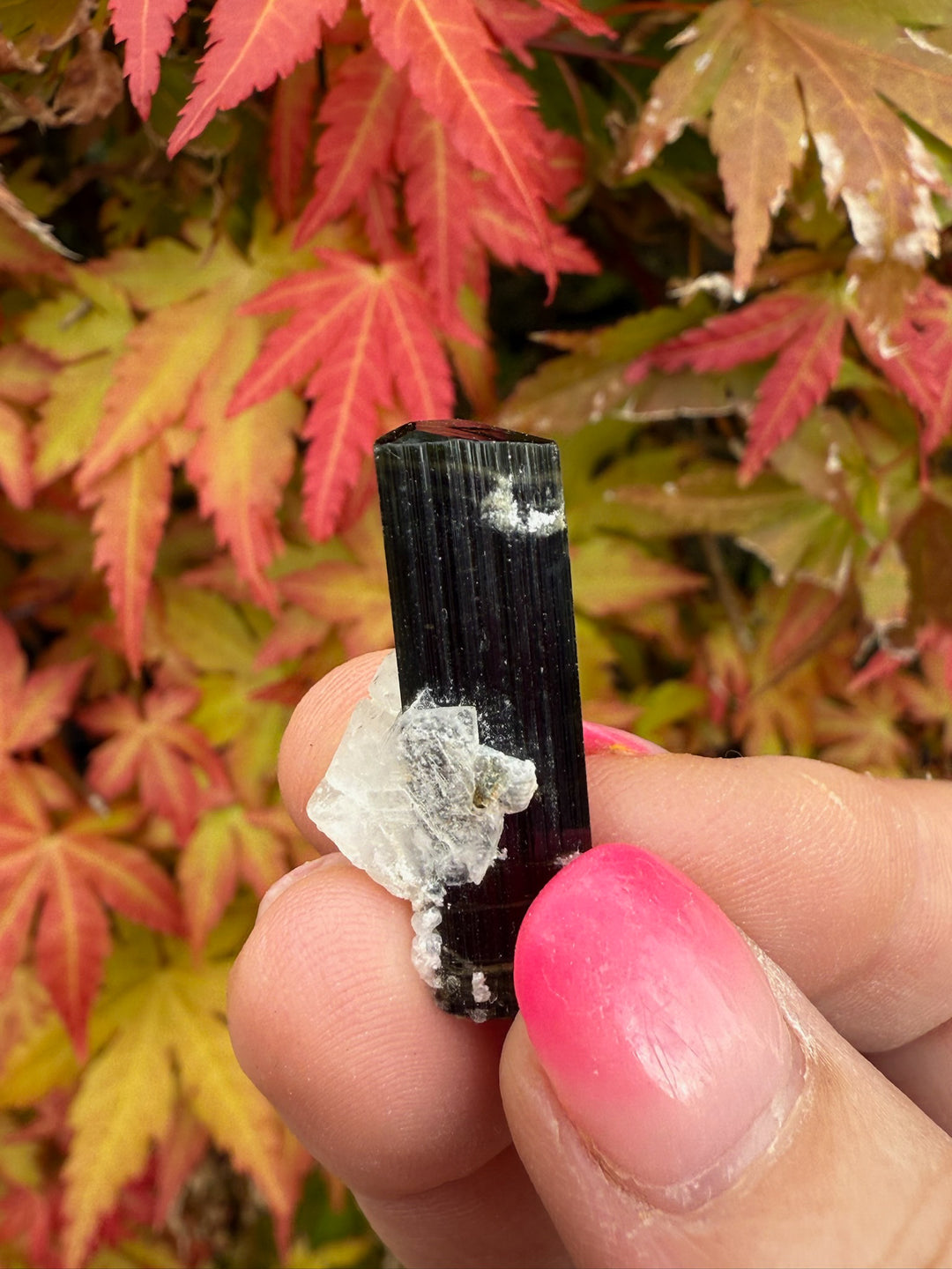 Terminated Cap Tourmaline Specimen